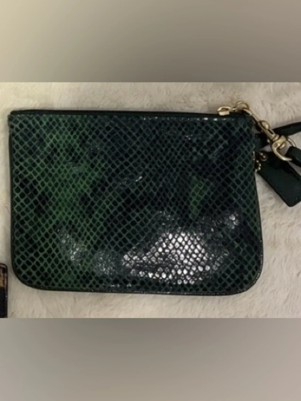 Coach pattern no snakeskin